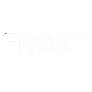 Frost Logo